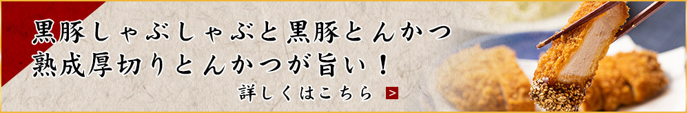 黒豚しゃぶしゃぶと黒豚とんかつ
熟成厚切りとんかつが旨い！