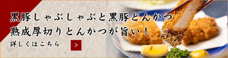 黒豚しゃぶしゃぶと黒豚とんかつ
熟成厚切りとんかつが旨い！