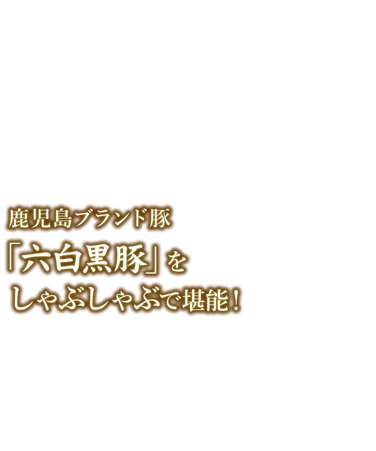 しゃぶしゃぶで堪能